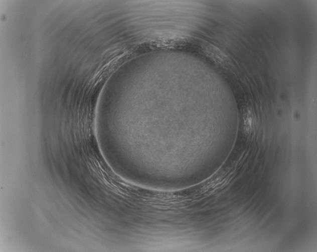 X0000057081060200509091242