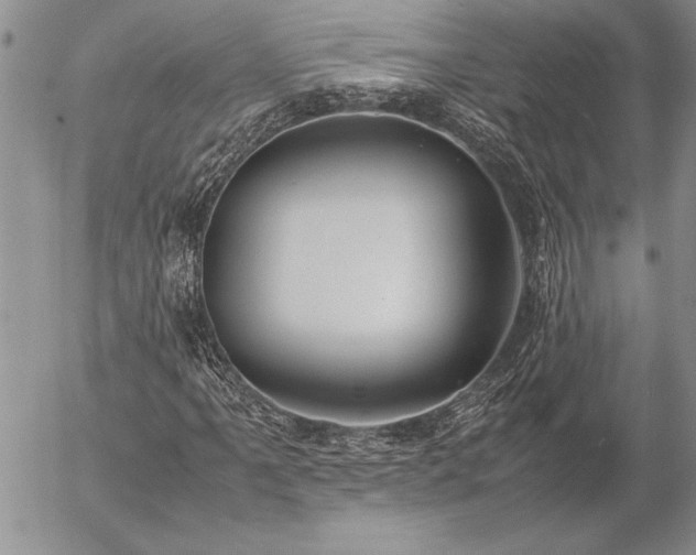 X0000057081061200509091242