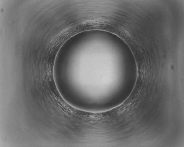 X0000057081062200509091242