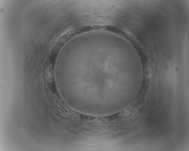 X0000057081063200509091242