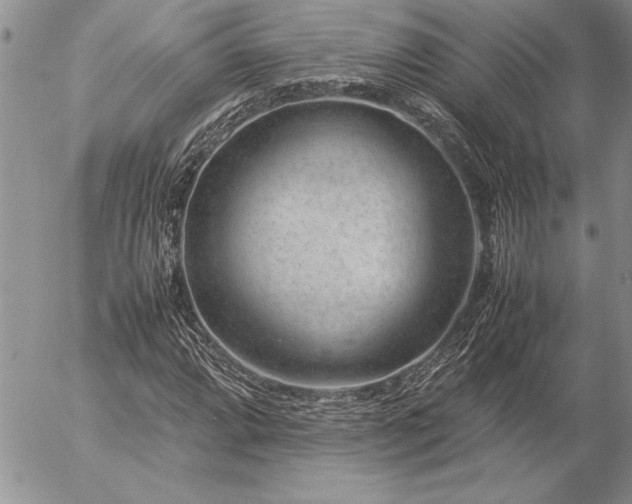 X0000057081064200509091242