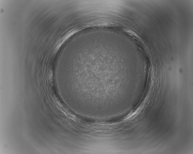 X0000057081065200509091242