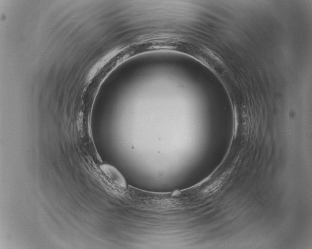 X0000057081066200509091242