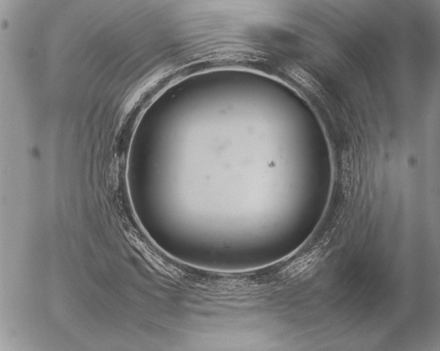 X0000057081067200509091242