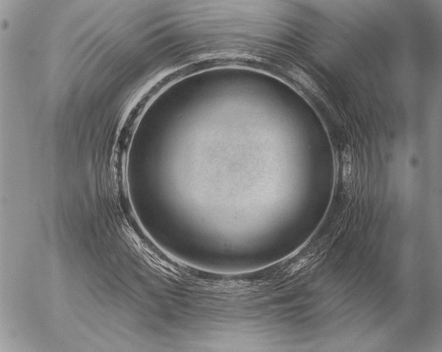 X0000057081068200509091242