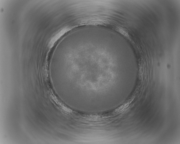 X0000057081071200509091242