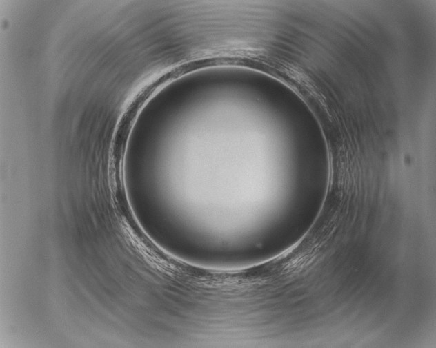 X0000057081072200509091242