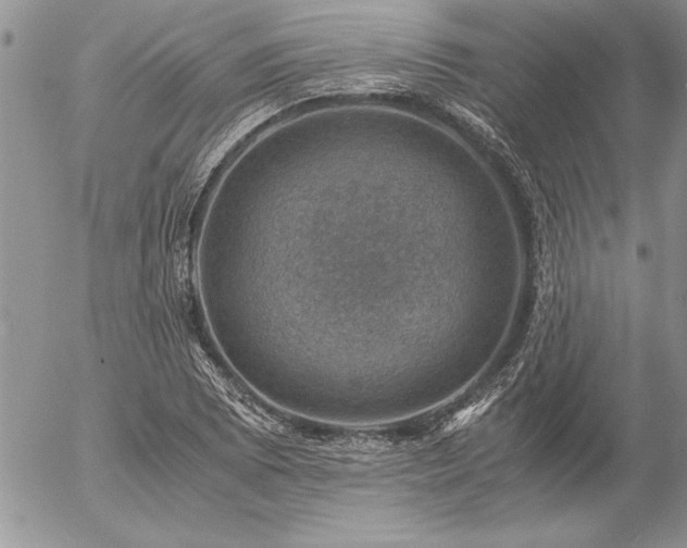 X0000057081073200509091242