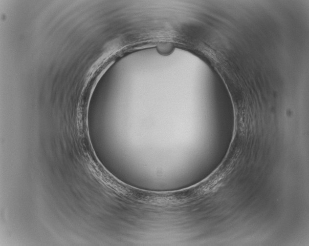 X0000057081074200509091242