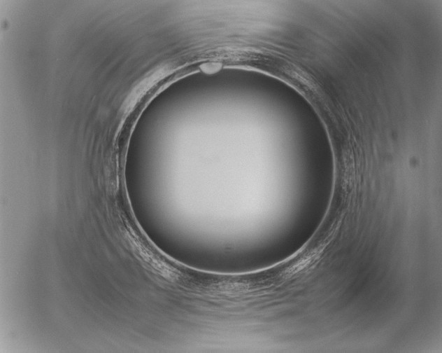 X0000057081075200509091242