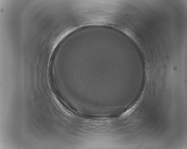 X0000057081077200509091242