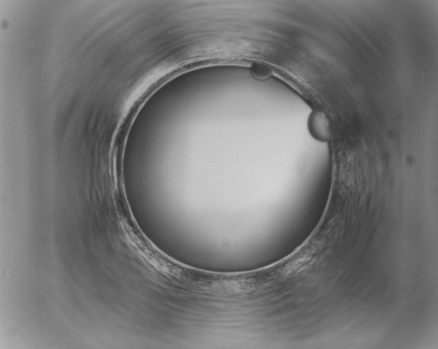 X0000057081078200509091242