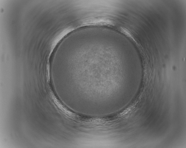 X0000057081079200509091242