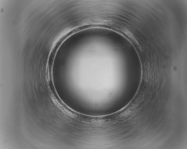 X0000057081080200509091242