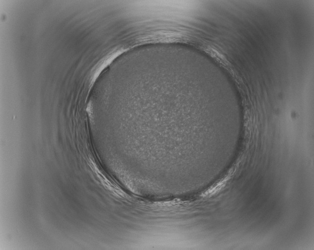 X0000057081081200509091242