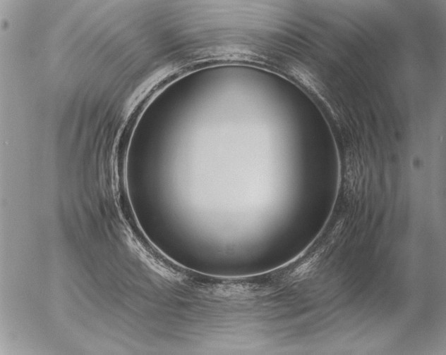 X0000057081082200509091242