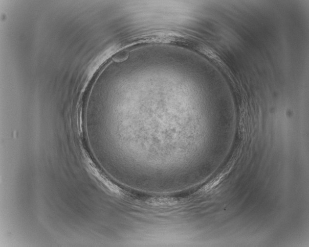 X0000057081083200509091242