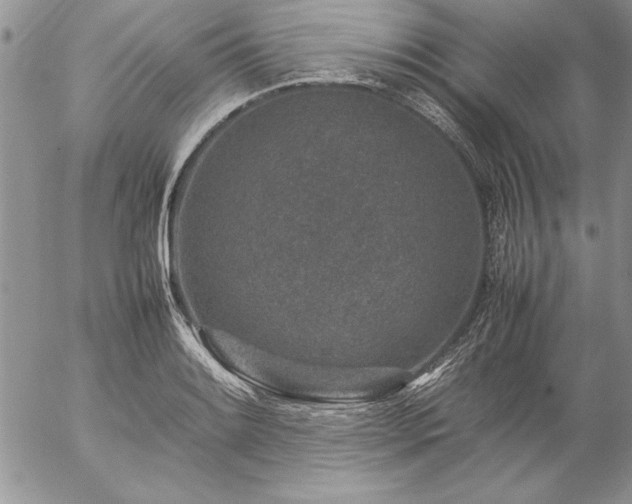 X0000057081084200509091242