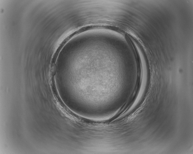 X0000057081085200509091242