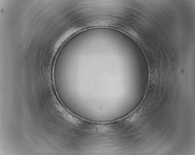 X0000057081086200509091242