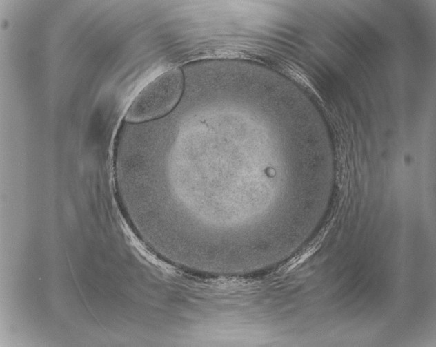 X0000057081087200509091242