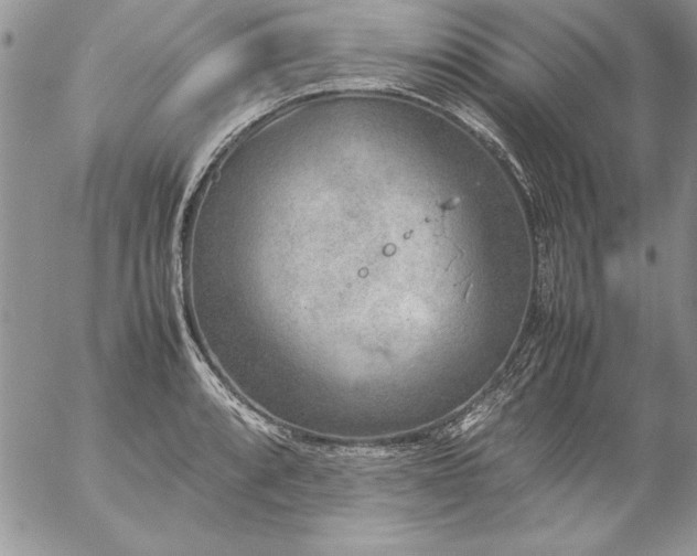 X0000057081088200509091242