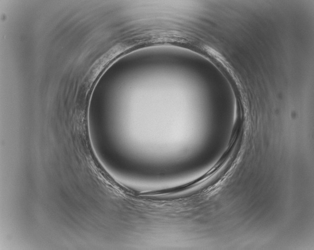 X0000057081089200509091242