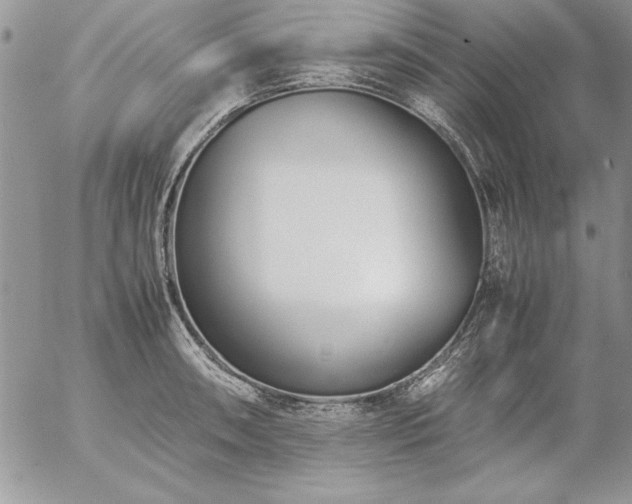 X0000057081090200509091242