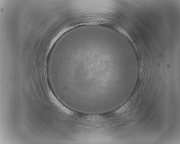 X0000057081091200509091242