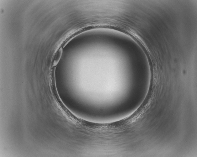 X0000057081093200509091241