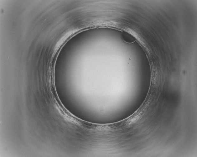 X0000057081094200509091241