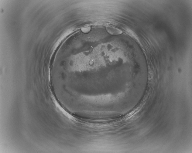 X0000057081095200509091241