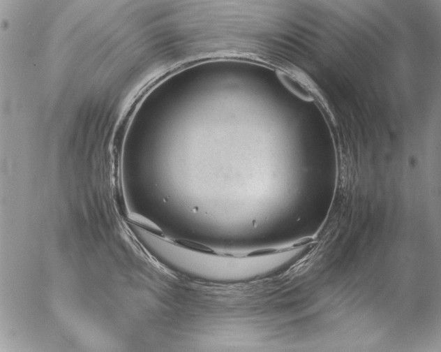 X0000057081096200509091241