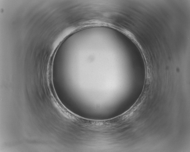 X0000057081098200509091241