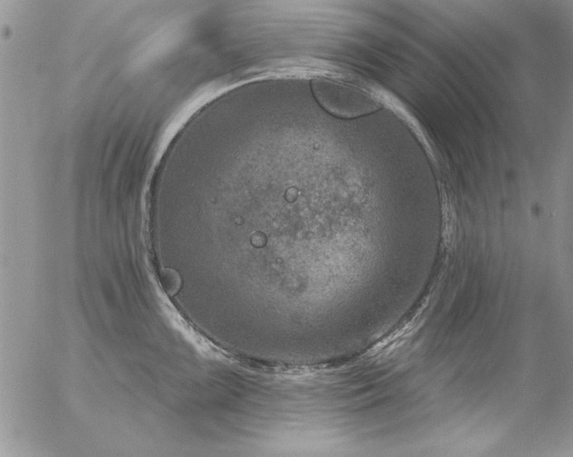 X0000057081099200509091241