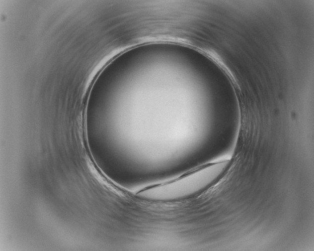 X0000057081100200509091241