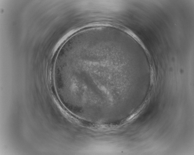 X0000057081101200509091241