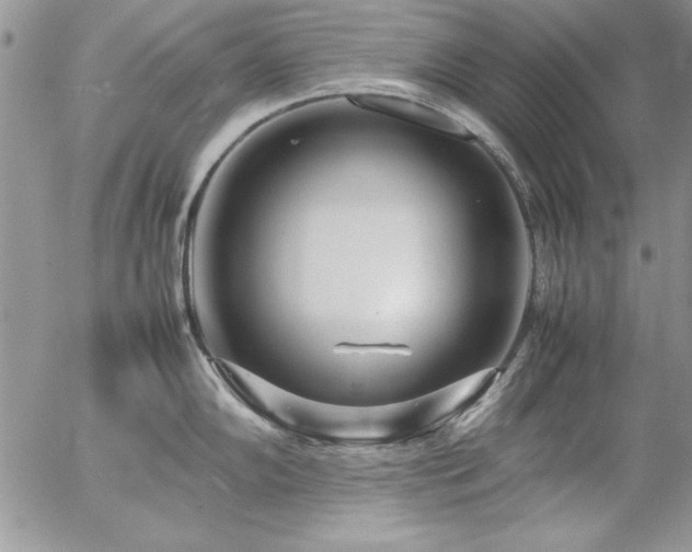 X0000057081102200509091241