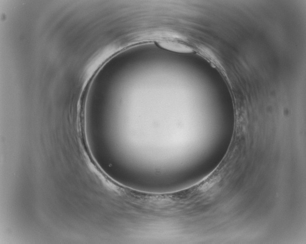 X0000057081103200509091241