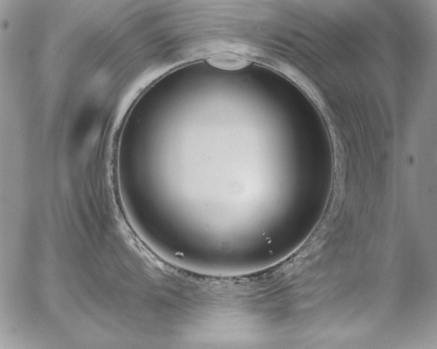 X0000057081104200509091241