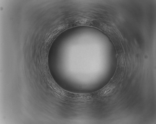 X0000057081105200509091241