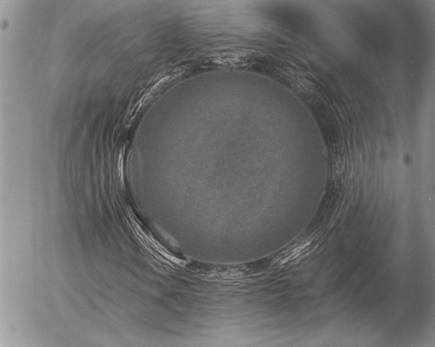 X0000057081106200509091241