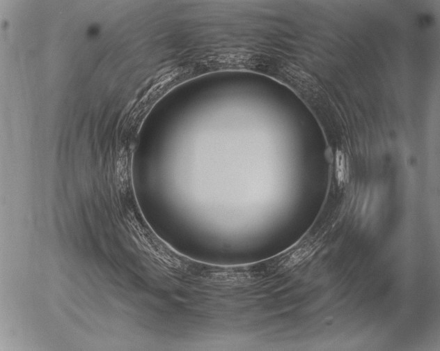 X0000057081107200509091241