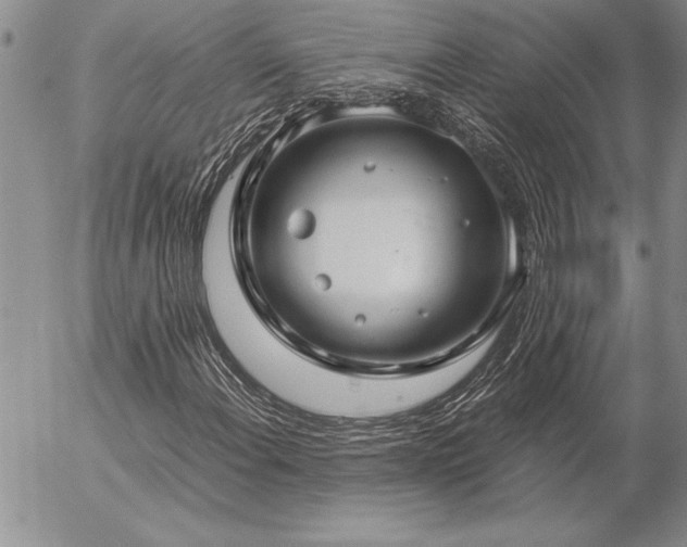 X0000057081108200509091241