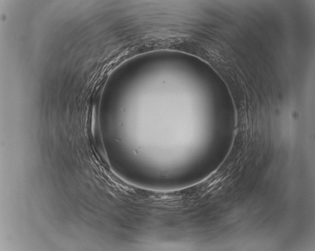 X0000057081109200509091241