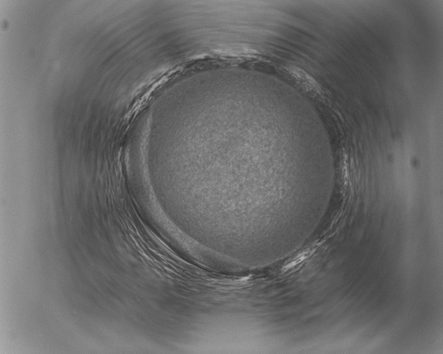 X0000057081110200509091241