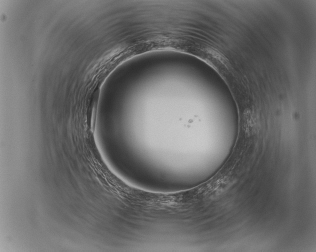 X0000057081111200509091241