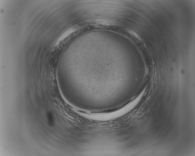 X0000057081112200509091241