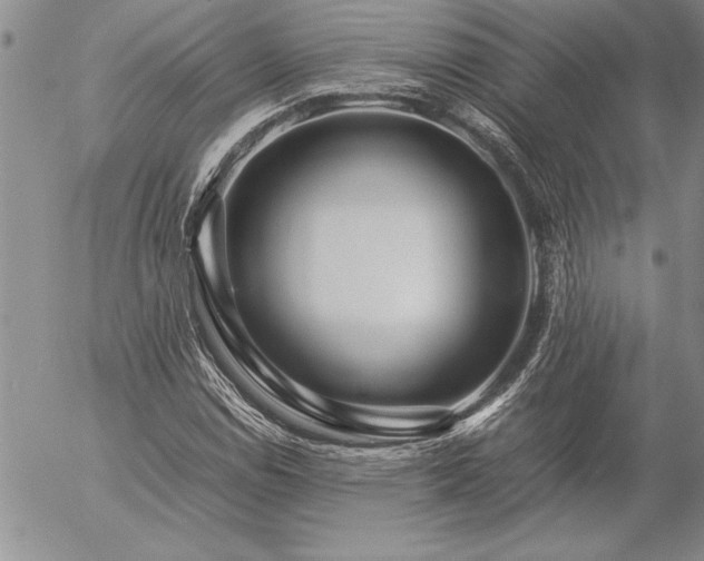 X0000057081114200509091241