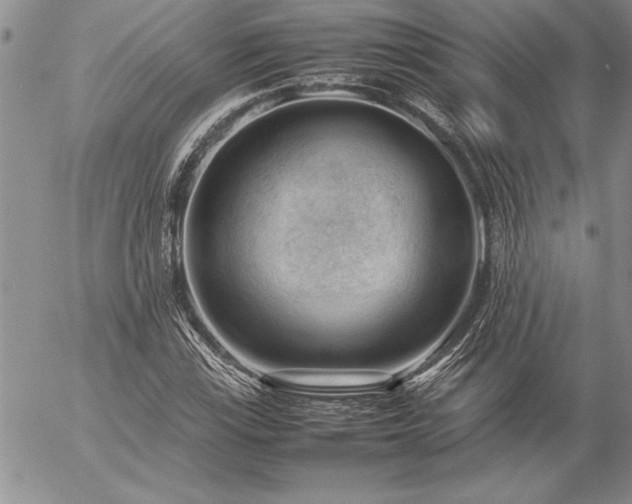 X0000057081115200509091241